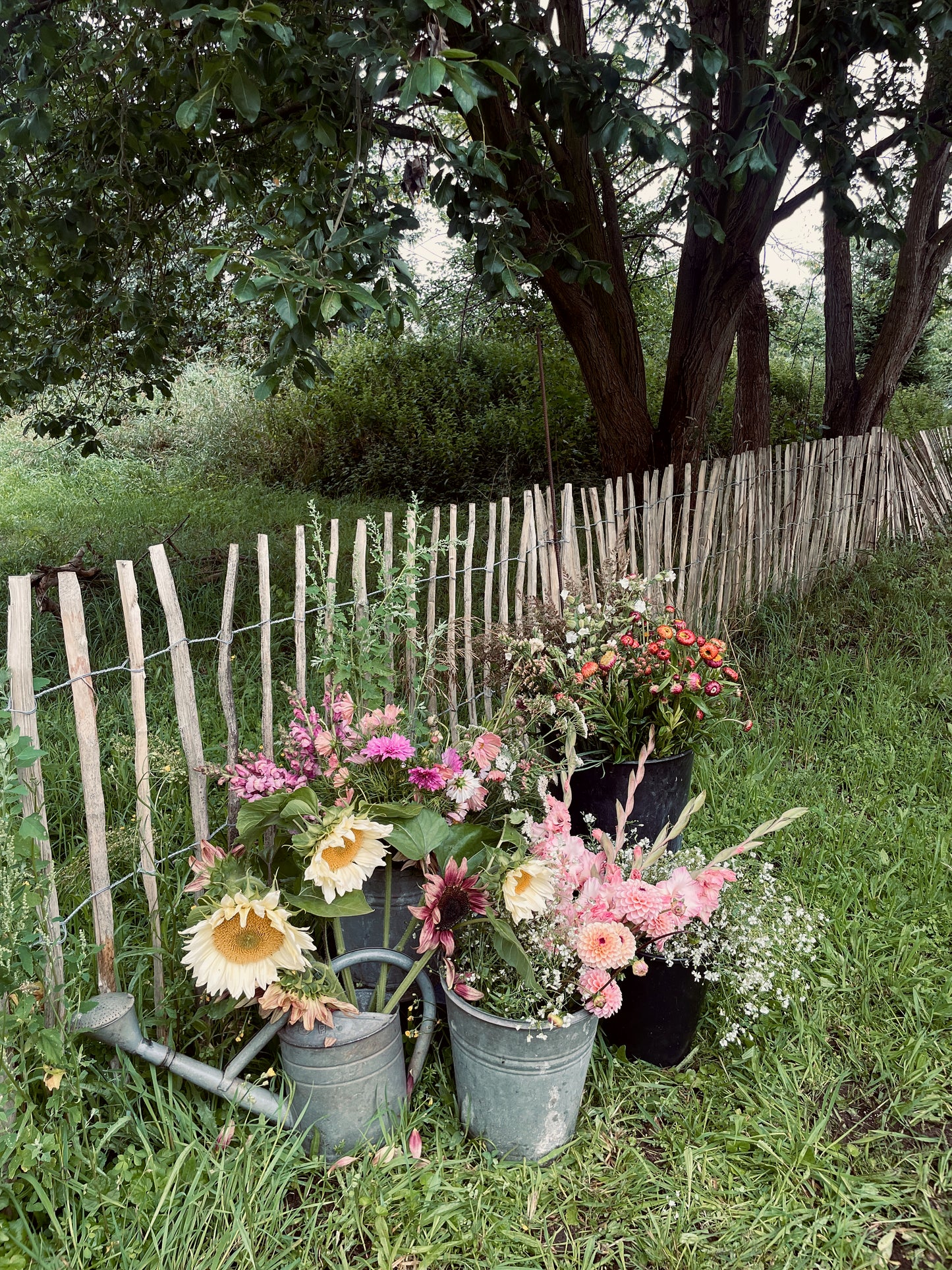 DIY Wedding Flowers