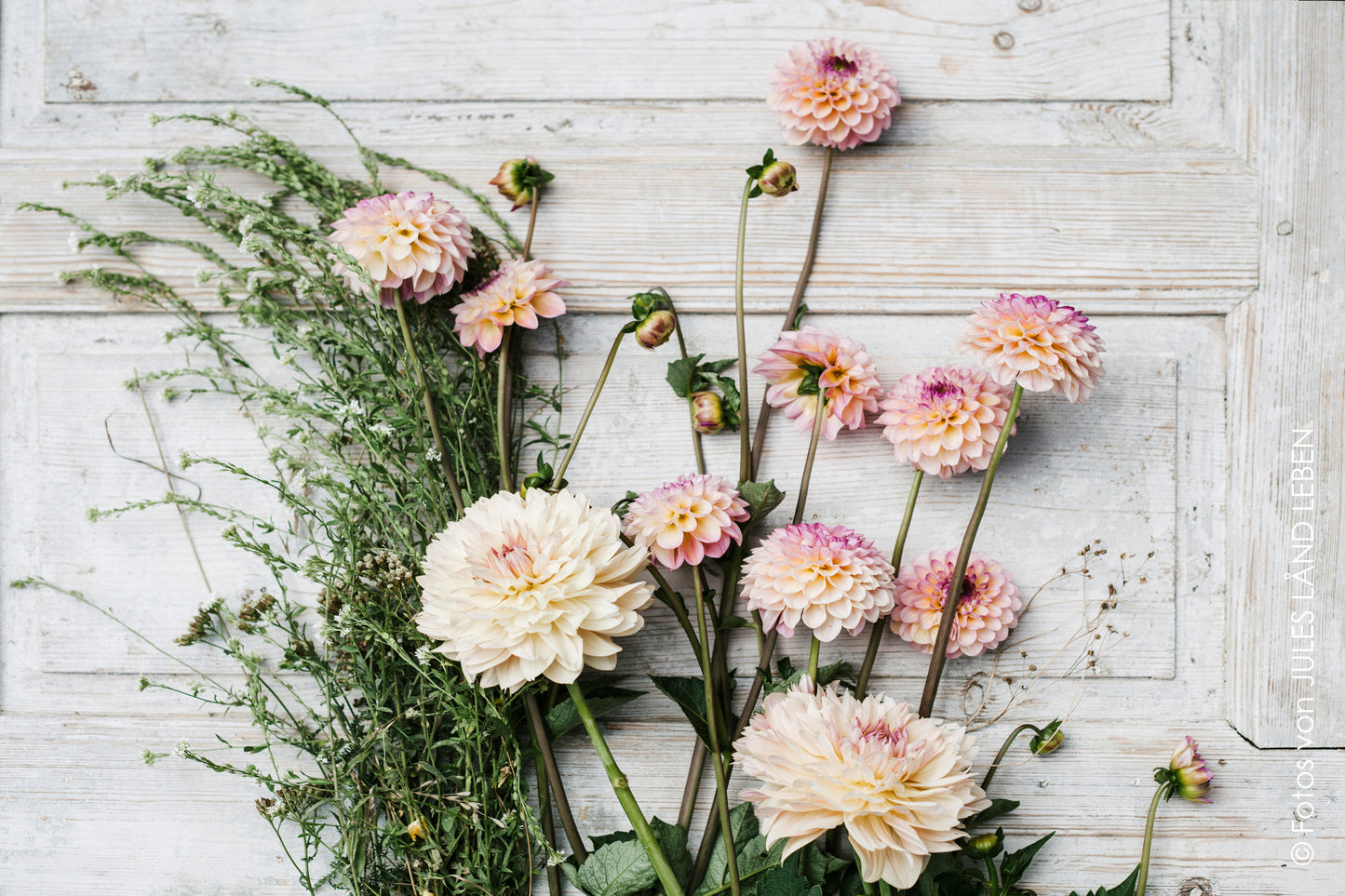 ein Eimer voller Blumen