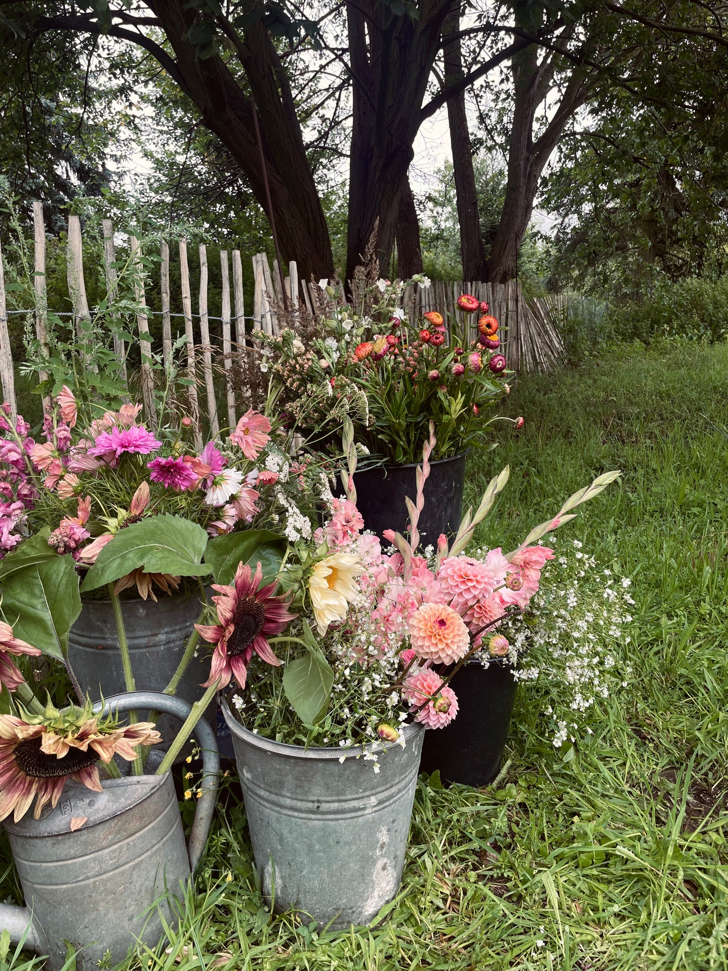 Abo: Blumen im Eimer zum selbst gestalten (Tischdeko) für Cafés, Restaurants…