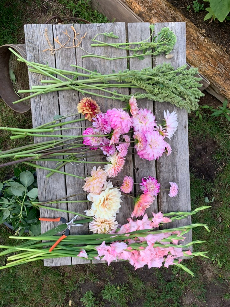 ein Eimer voller Blumen