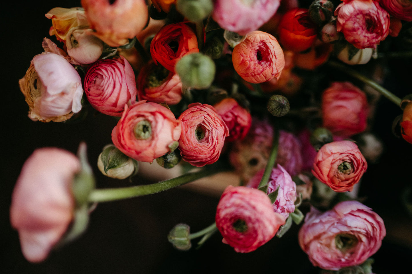 ein Eimer voller Blumen