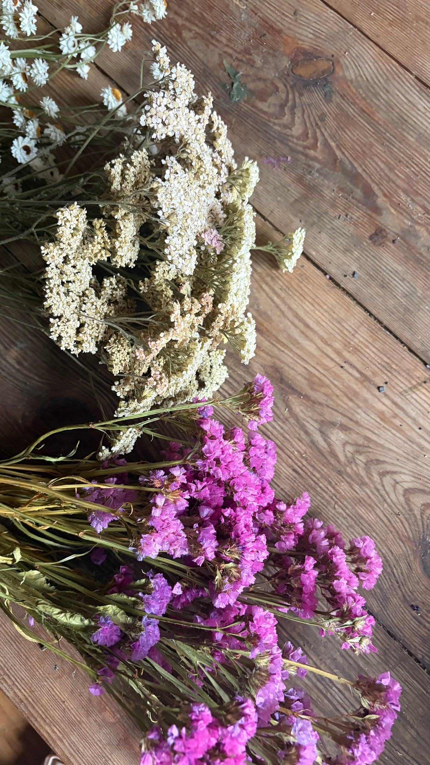 Trockenblumen vom Feld | 10 Stiele