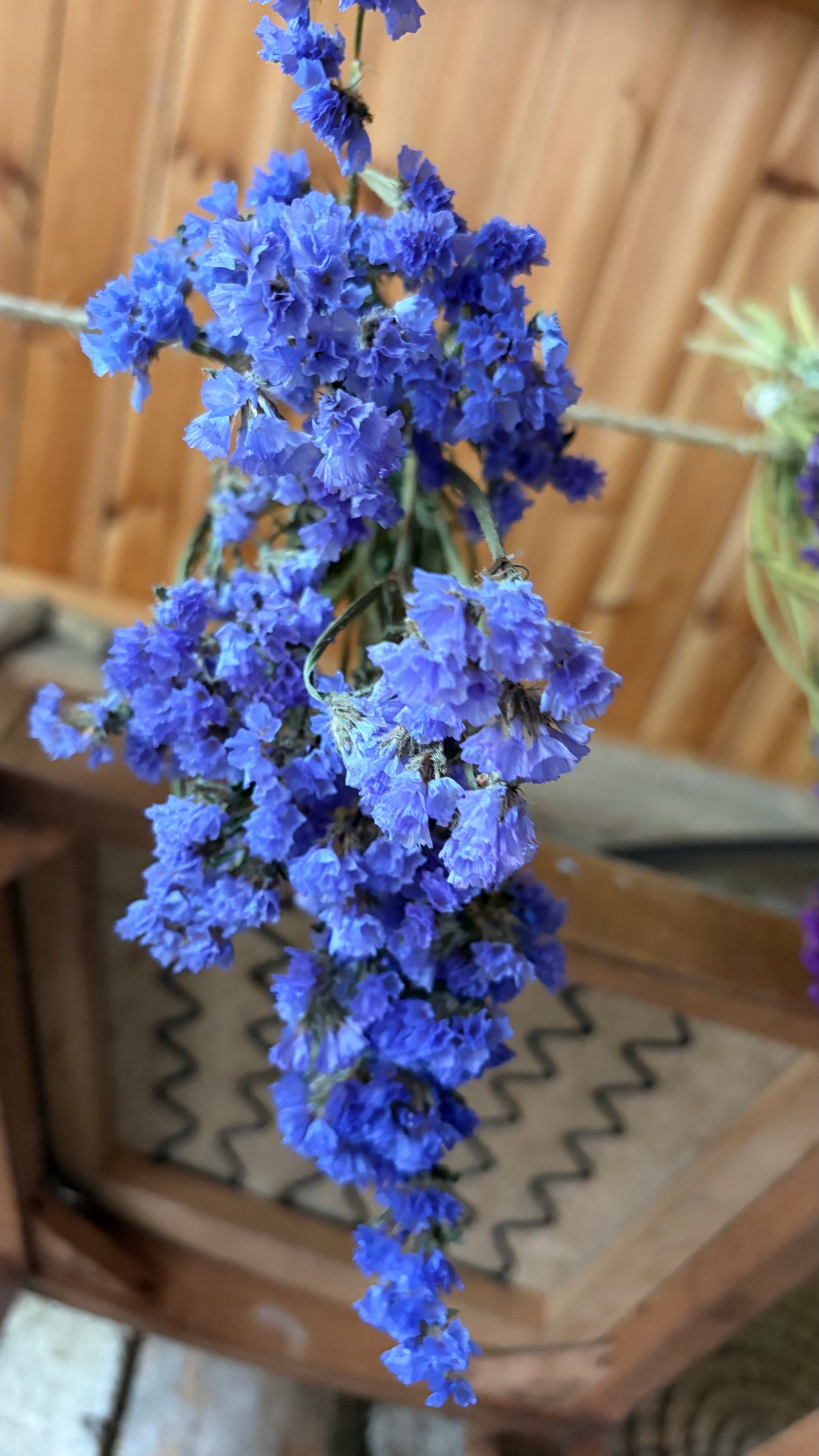 Trockenblumen vom Feld | 10 Stiele