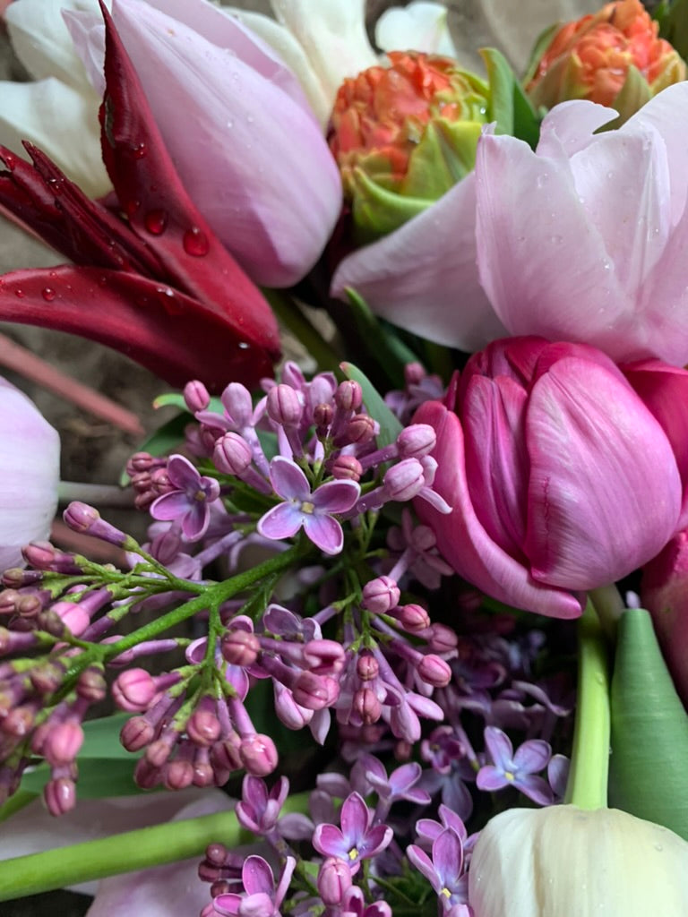 Abo: FRÜHLING inkl. Lieferung