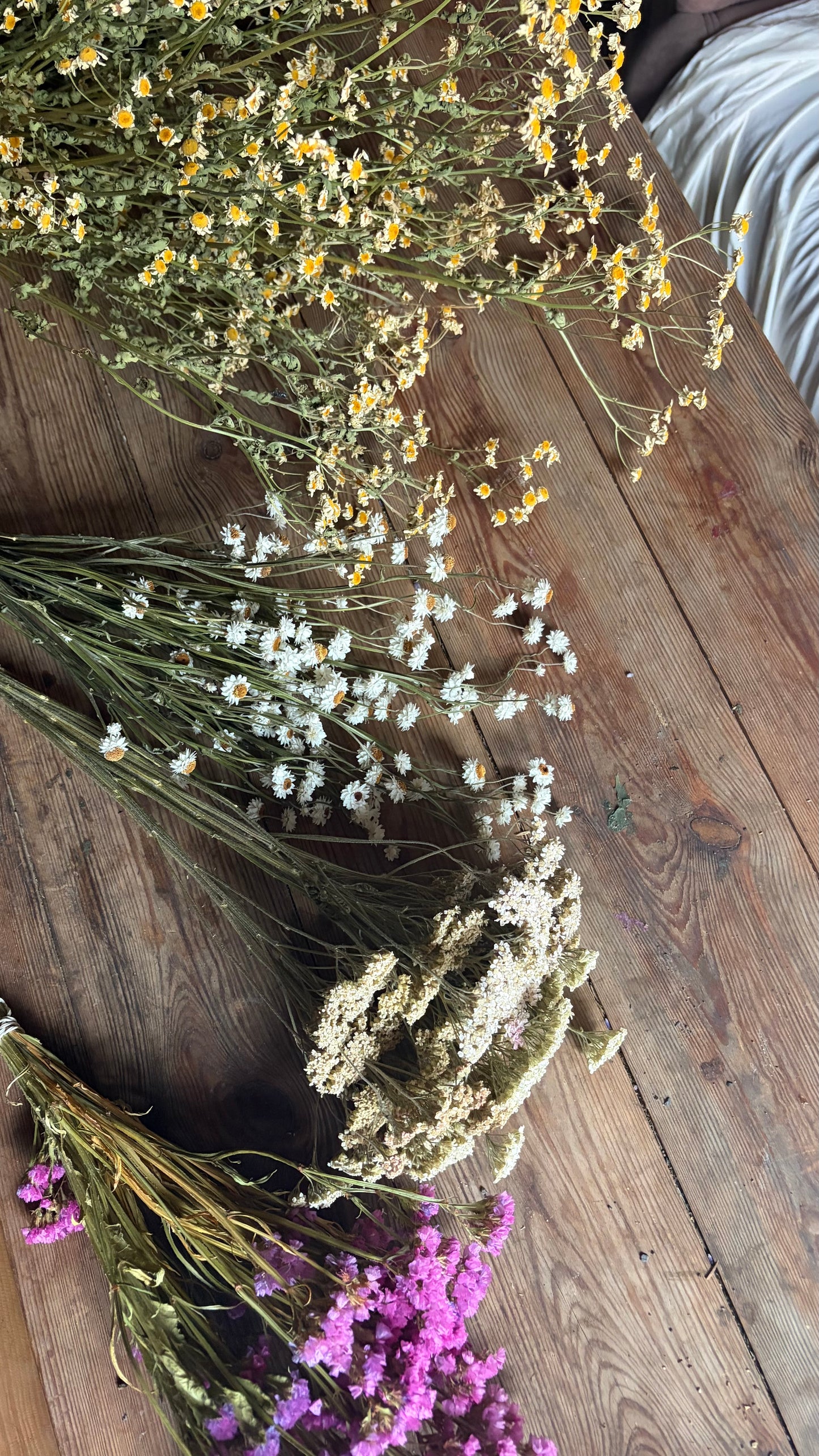 Trockenblumen vom Feld | 10 Stiele