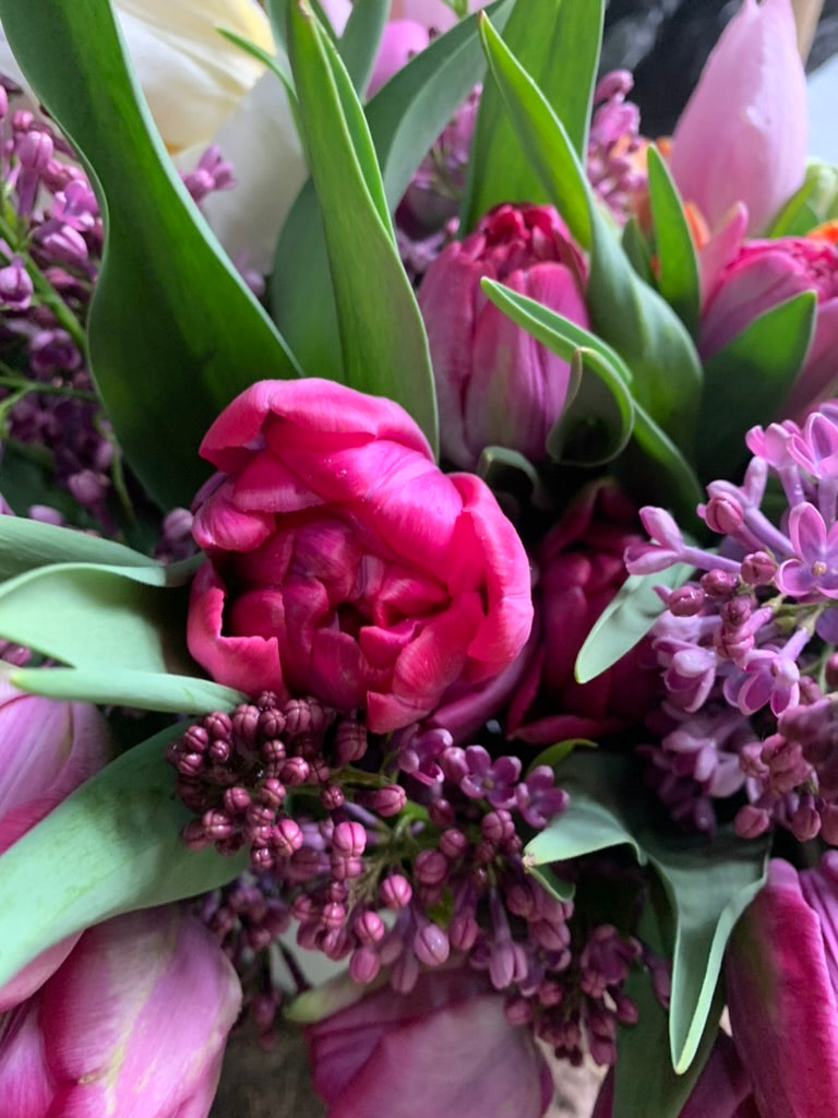 Abo: FRÜHLING inkl. Lieferung