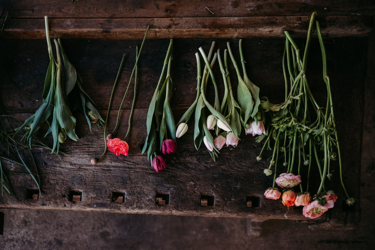 ein Eimer voller Blumen