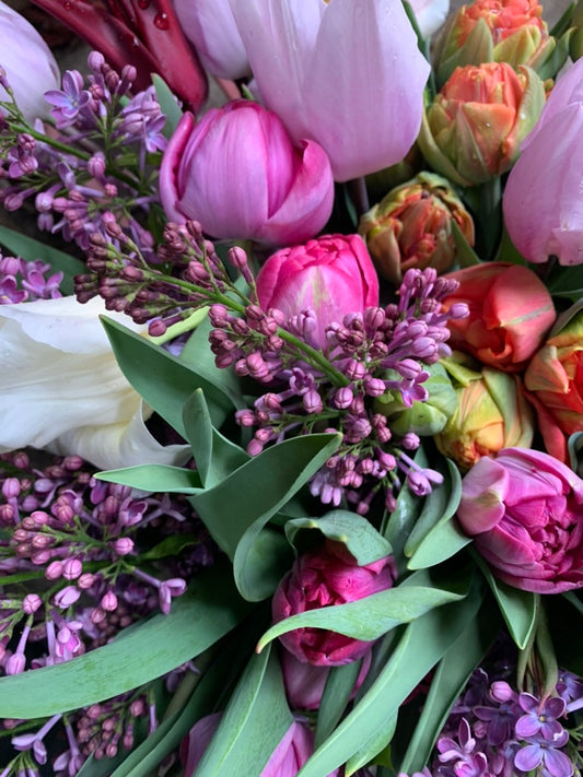 Abo: FRÜHLING inkl. Lieferung