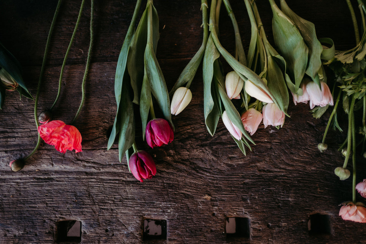 Blumen selbst pflücken (2026)