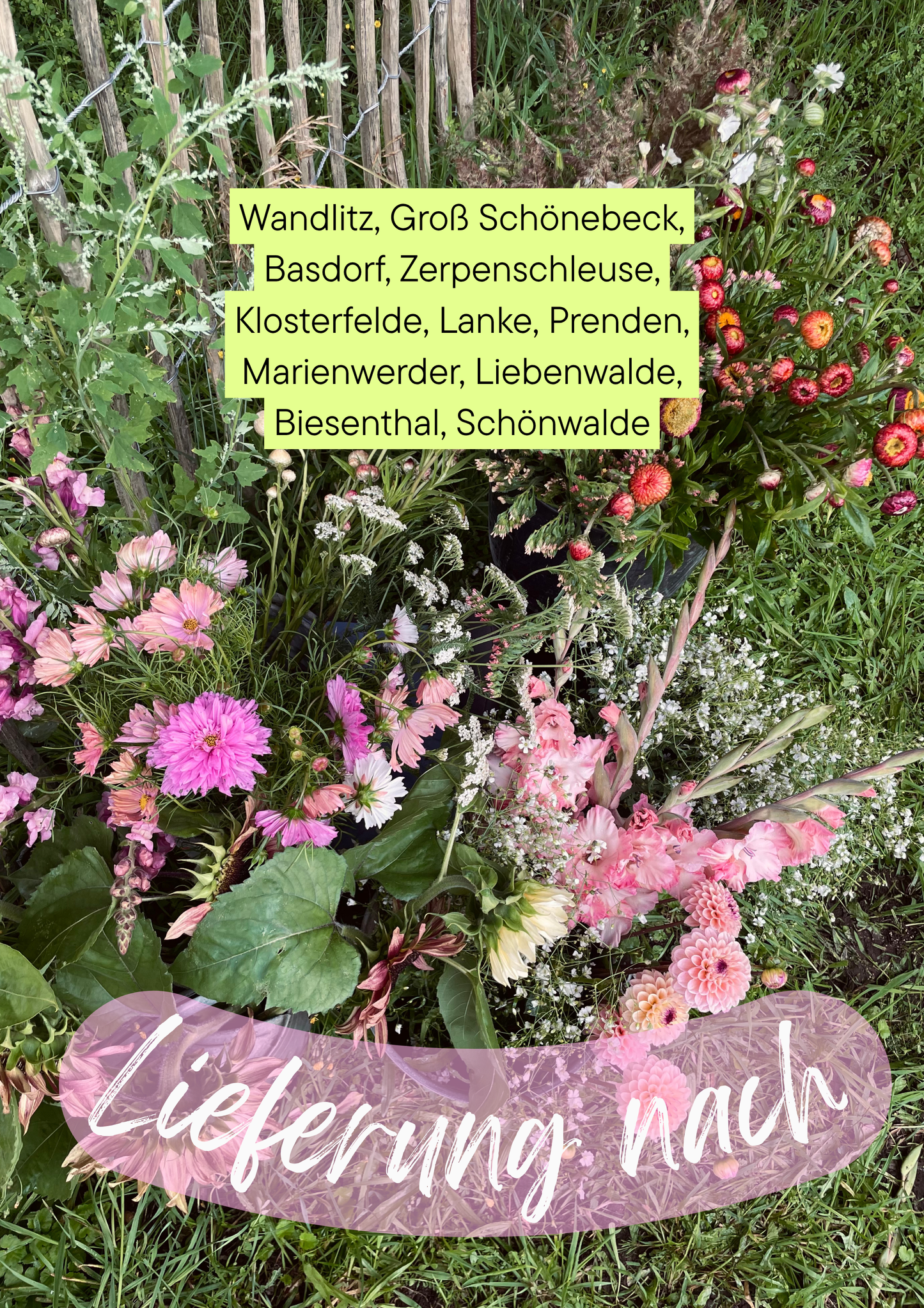 Abo: Blumen im Eimer zum selbst gestalten (Tischdeko) für Cafés, Restaurants…