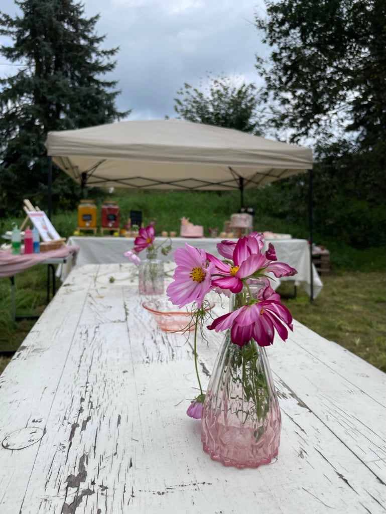 Abo: Blumen im Eimer zum selbst gestalten (Tischdeko) für Cafés, Restaurants…