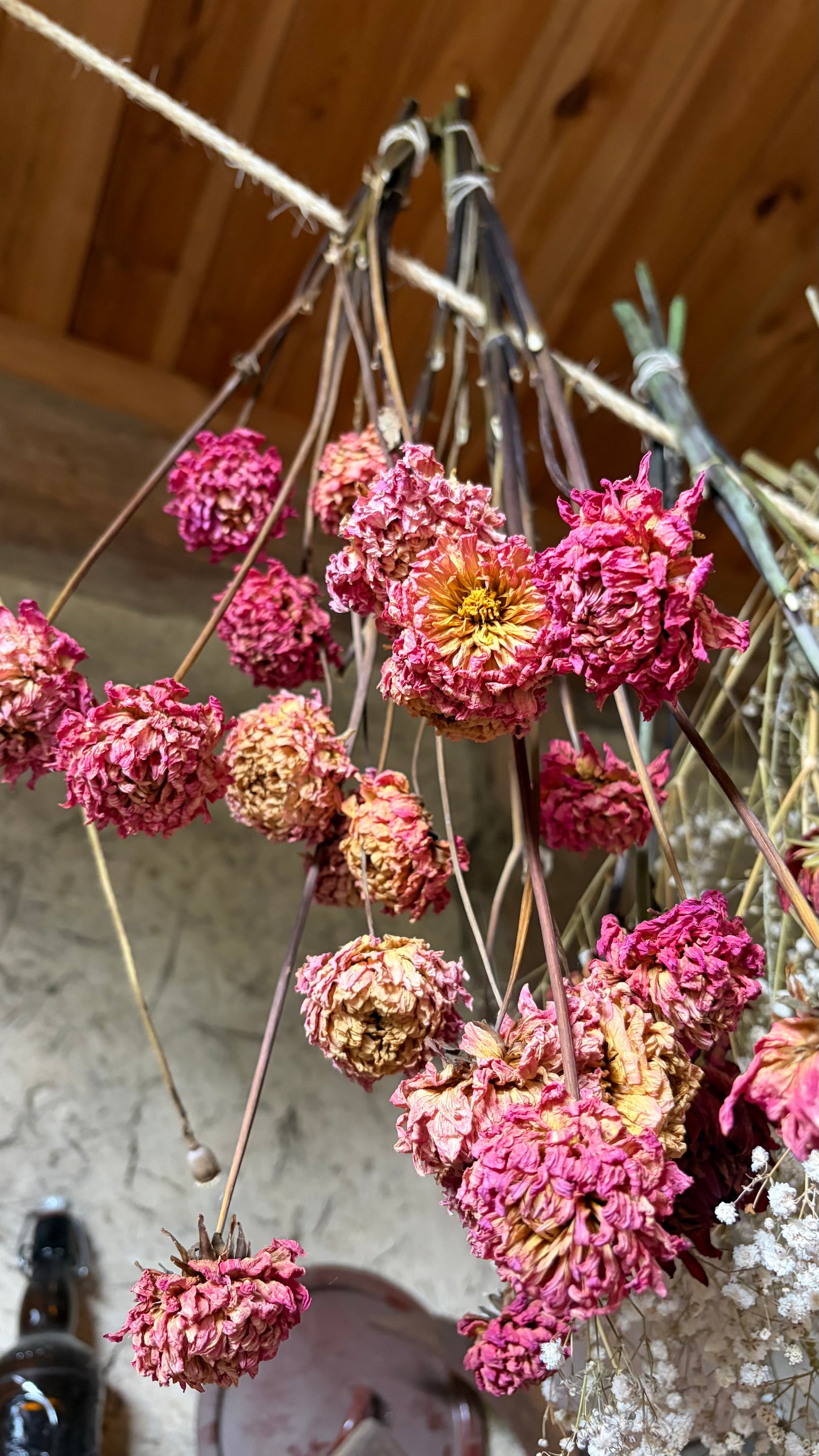 Trockenblumen vom Feld | 10 Stiele