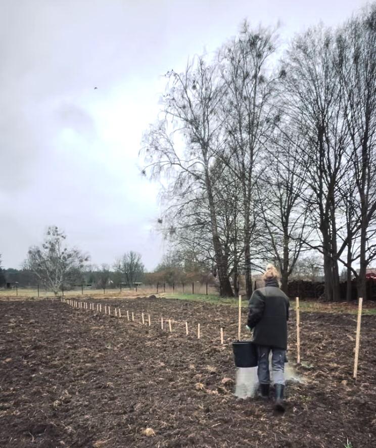 Abo: Blumensträuße die ganze Saison (Apr-Okt)