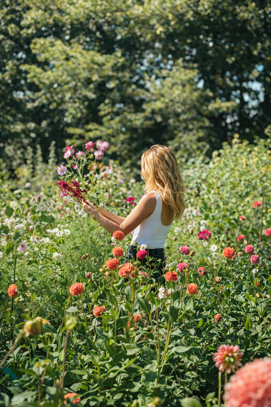 Blumen selbst pflücken (2026)
