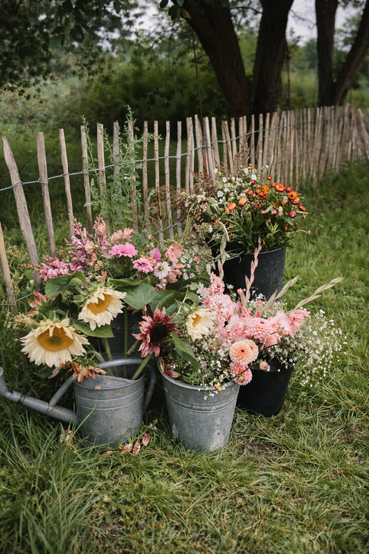 ein Eimer voller Blumen