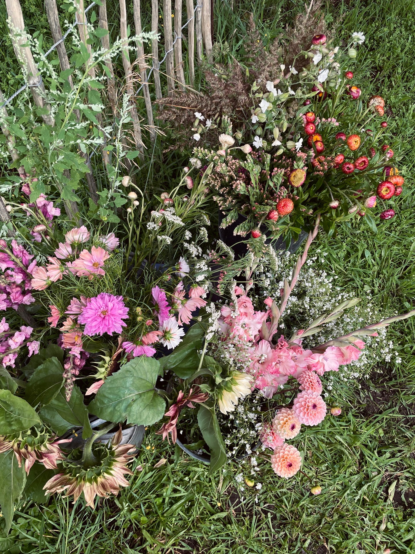 Abo: Blumen im Eimer zum selbst gestalten (Tischdeko) für Cafés, Restaurants…