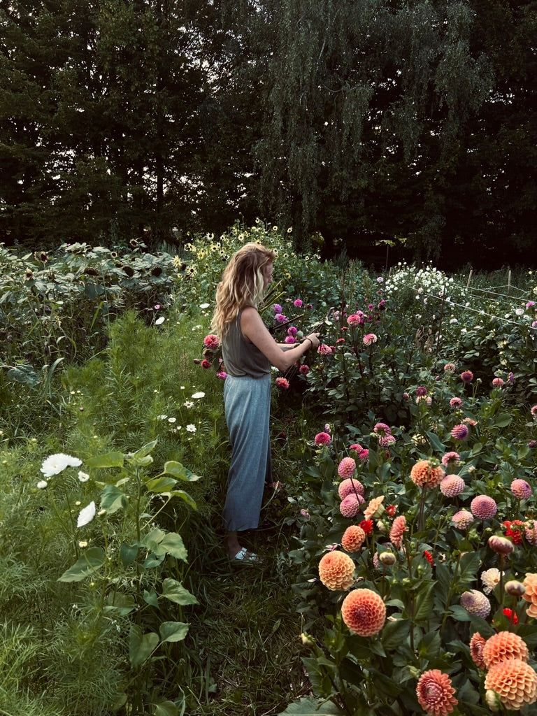 Selbst pflücken (Gutscheinkarte)