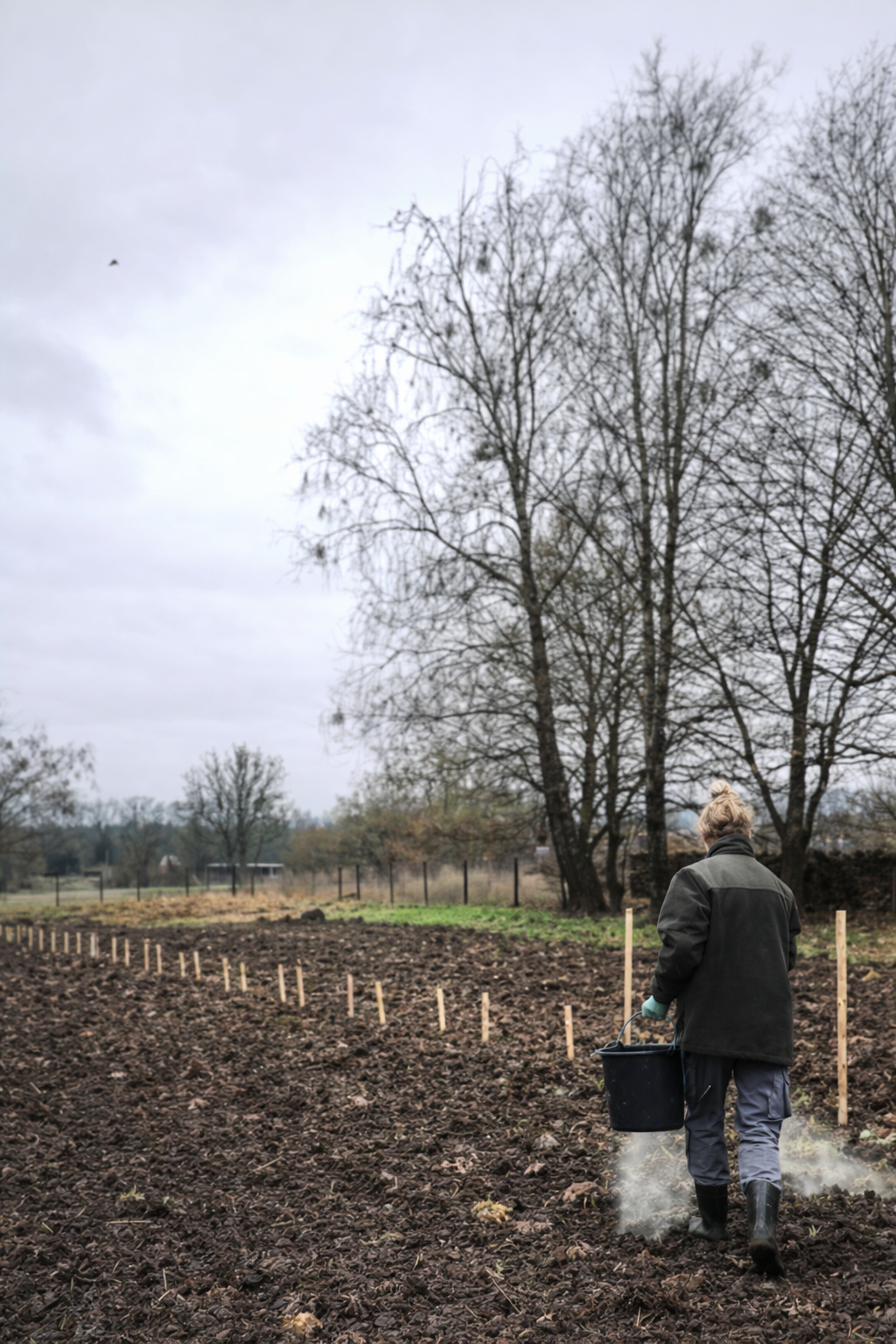 Abo: Blumensträuße die ganze Saison (Apr-Okt)