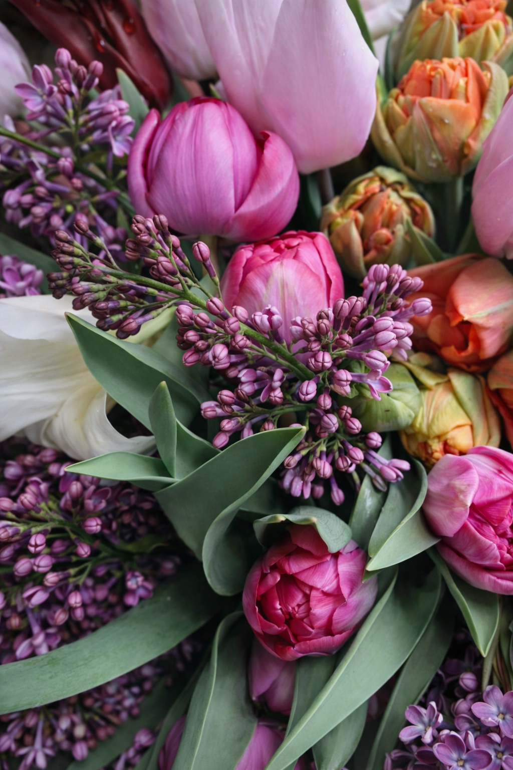 Abo: Blumen im Eimer zum selbst gestalten (Tischdeko) für Cafés, Restaurants…