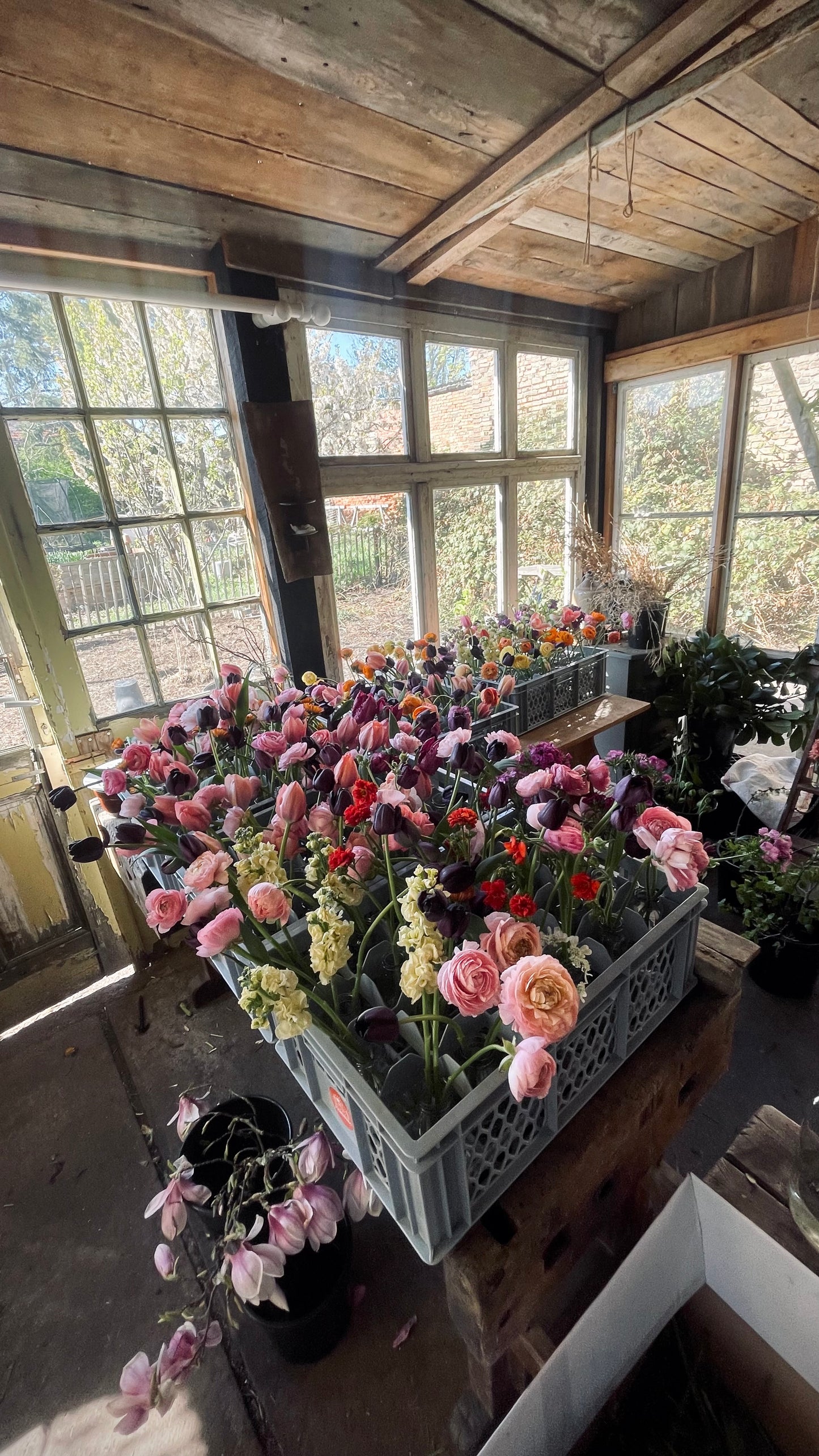 DIY Wedding Flowers