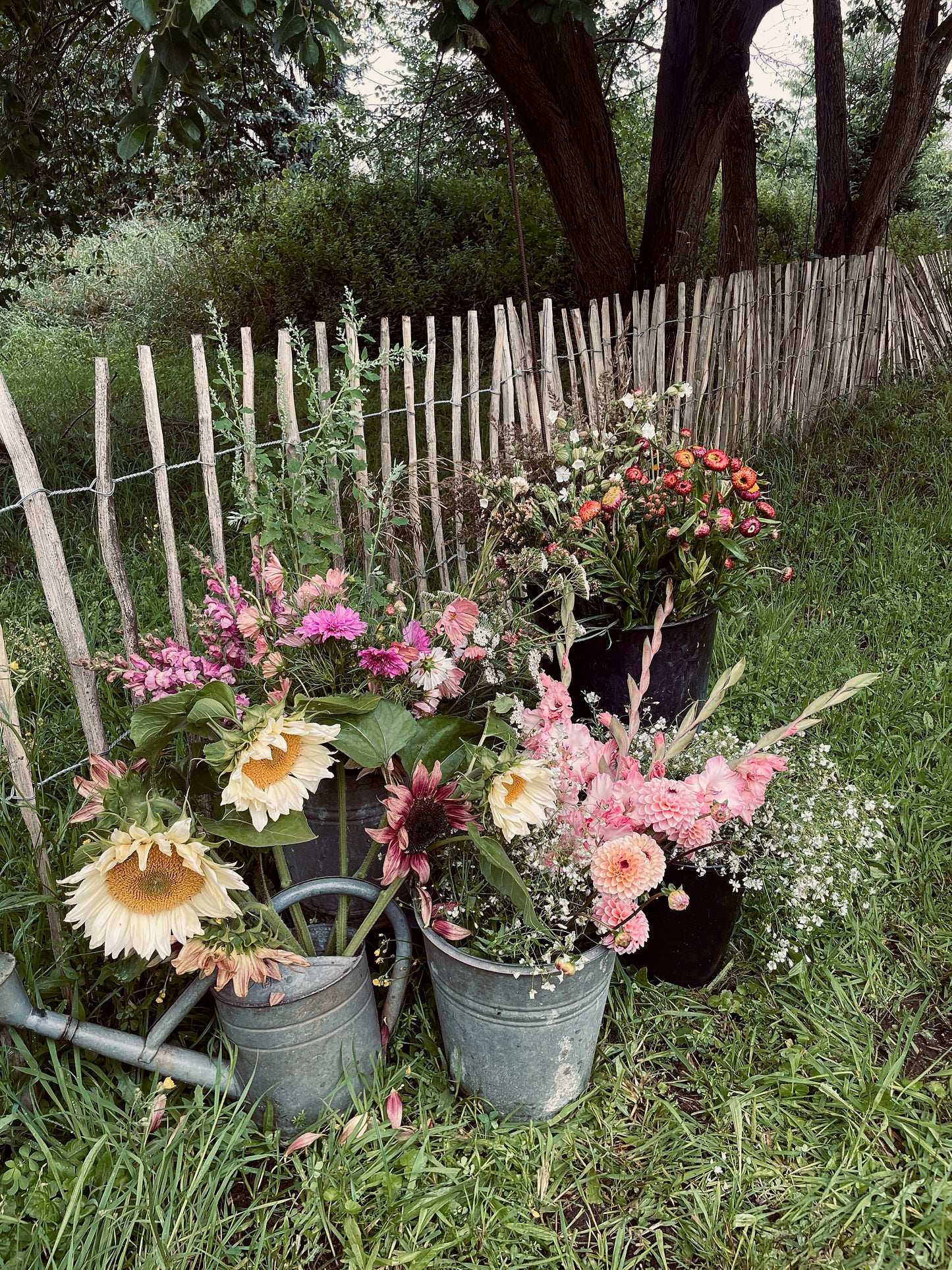 ein Eimer voller Blumen