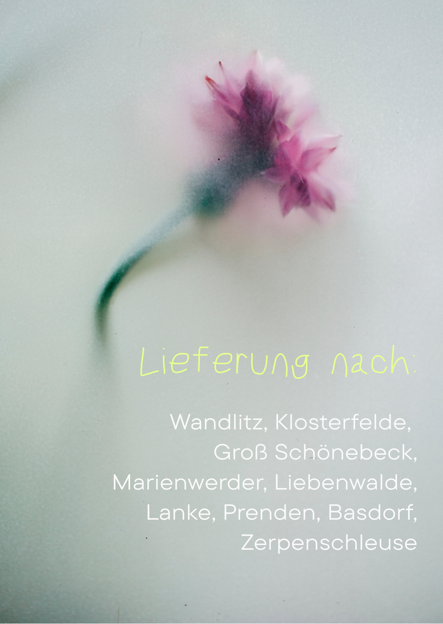 Abo: Blumensträuße die ganze Saison (Apr-Okt)