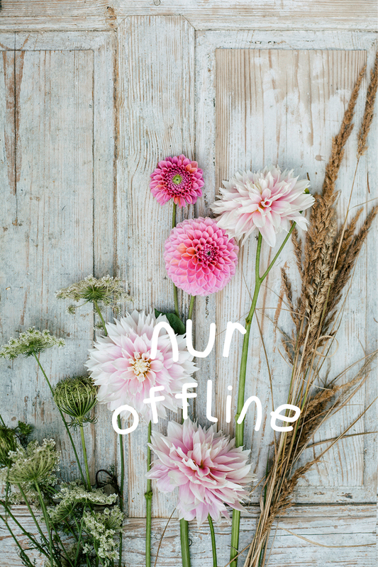 (nur für vor-Ort-Kauf: diverse Zahlmethoden)