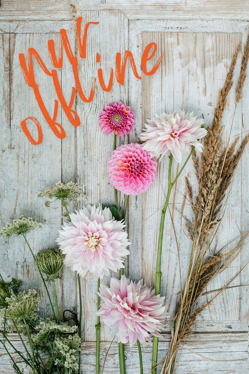 (nur für vor-Ort-Kauf: diverse Zahlmethoden)