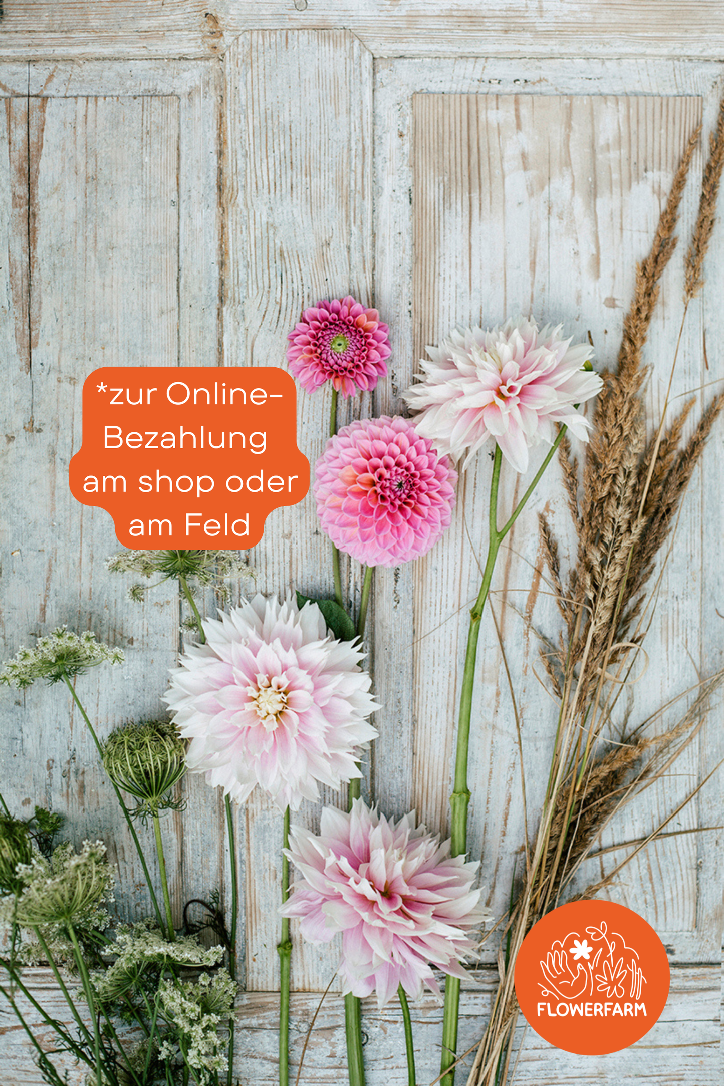 (nur für vor-Ort-Kauf: diverse Zahlmethoden)